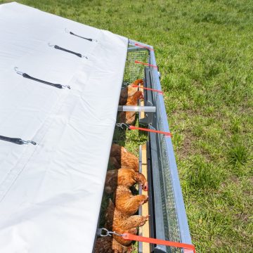 12 x 12 Alumi-Coop [Roof Feeding Position]